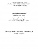 ESTUDOS DE SIMULAÇÃO DE FLUXO NA PRODUÇÃO DE GÁS DE FOLHELHO
