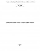 Trabalho Princípios da Ecologia e Proteção ao Meio Ambiente