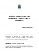 OS NÍVEIS HIERÁRQUICOS DE UMA ORGANIZAÇÃO E SEUS SISTEMAS DE INFORMAÇÃO