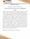 AS PROBLEMÁTICAS NO ESCOAMENTO DA PRODUÇÃO DE PETRÓLEO E GLP DA PROVÍNCIA PETROLÍFERA DE URUCU