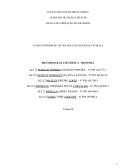 Resenha de Metodologia - Julio Cezar Rachel de Paula - Controle de Homicídios