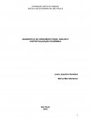 DIAGNÓSTICO DE CRESCIMENTO ÍNDIA: ANÁLISE E CONTEXTUALIZAÇÃO ECONÔMICA