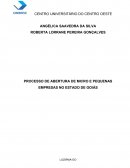 PROCESSO DE ABERTURA DE MICRO E PEQUENAS EMPRESAS NO ESTADO DE GOIÁS