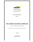 ORIENTAÇÃO PRÁTICA JURÍDICA III PRÁTICA – DIREITO CONSTITUCIONAL