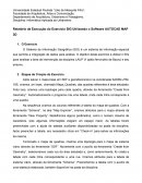 Relatório de Execução do Exercício SIG Utilizando o Software AUTOCAD MAP 3D