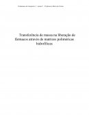 Transferência de massa na liberação de fármacos através de matrizes poliméricas hidrofílicas