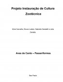 Projeto Instauração de Cultura Zootécnica Avicultura de Passeriformes