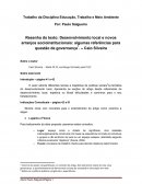 Resenha do texto: Desenvolvimento local e novos arranjos socioinstitucionais: algumas referências para questão de governança. Caio Silveira