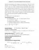 ESPECIFICAÇÃO DE PROCEDIMENTOS DE SOLDAGEM