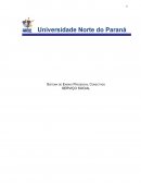 O TRABALHO PROFISSIONAL- INSTRUMENTAÇÃO PARA INTERVENÇÃO