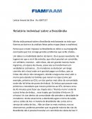 Relatório Individual sobre a Brasilândia
