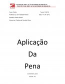 O Direito Penal 2- Aplicação da Pena