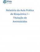 Relatório da Aula Prática de Bioquímica I – Titulação de Aminoácidos