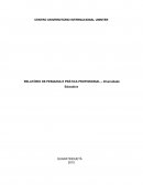 RELATÓRIO DE PESQUISA E PRÁTICA PROFISSIONAL – Diversidade Educativa