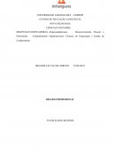 DISCPLINAS NORTEADORAS –Empreendedorismo , Desenvolvimento Pessoal e Profissional , Comportamento Organizacional, Técnicas de Negociação e Gestão de Conhecimento