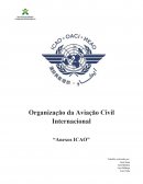 Organização da Aviação Civil Internacional “Anexos ICAO”
