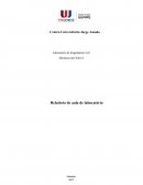 Relatório sobre Limite de liquidez, limite de plasticidade e compactação