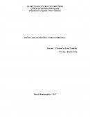 PRÁTICA DE GEOGRAFIA E MEIO AMBIENTE: Discente – Cristiane de Lana Trindade