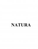 Descrição Organizacional Natura