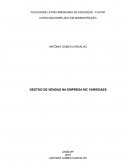 GESTÃO DE VENDAS NA EMPRESA MC VARIEDADES