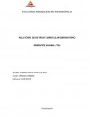 Administração de pequenas e médias empresas