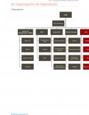 O Organograma da Organização