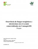 Ocorrência de fungos toxigênicos e micotoxinas em erva-mate comercializada em Camaquã-RS