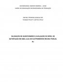 VALIDAÇÃO DE QUESTIONÁRIO E AVALIAÇÃO DO NÍVEL DE SATISFAÇÃO EM UMA LOJA DE ELETROMÓVEIS EM SÃO FIDELIS, RJ