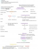 Resumo: Óleos e gorduras