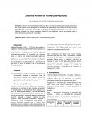 Cálculo e Análise do Número de Reynolds