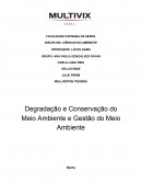 Degradação e Conservação do Meio Ambiente e Gestão do Meio Ambiente