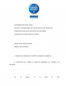 A TOMADA DE DECISÃO NA MICRO E PEQUENA EMPRESA: O CONTEXTO DA MICRO E PEQUENA EMPRESA NA TOMADA DE DECISÃO