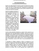 Texto Editorial - Modelo para desenvolvimento