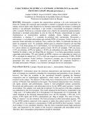 A CARACTERIZAÇÃO QUÍMICA E ATIVIDADE ANTIOXIDANTE (in vitro) DO FRUTO DO CAMAPÚ (Physalis peruviana, L.)