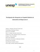 Participação dos Integrantes no Segundo Relatório de Laboratório de Bioprocessos I