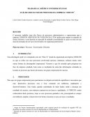 ANÁLISE DOS FLUXOS DE PROCESSO DA EMPRESA VIDICON