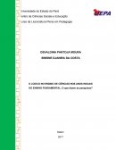 O LÚDICO NO ENSINO DE CIÊNCIAS NOS ANOS INICIAIS DO ENSINO FUNDAMENTAL: O que dizem as pesquisas?