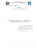 O JEITINHO BRASILEIRO UMA QUESTÃO DE PRINCÍPIOS NA DERROCADA E DESVIRTUÇÃO DA FÉ PÚBLICA.