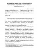 MEIO AMBIENTE DO TRABALHO RURAL: A EXPOSIÇÃO DOS RISCOS AMBIENTAIS FRENTE À INOBSERVÂNCIA DOS PRINCÍPIOS E DAS LEGISLAÇÕES TEMÁTICAS