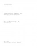 MEDIDAS DE SEGURANÇA E DIGNIDADE DA PESSOA RESPEITO AOS PRINCÍPIOS CONSTITUCIONAIS