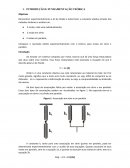 Relatório Estudo de Molas