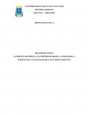 AS MORTES DO INDÍGENA NO IMPÉRIO DO BRASIL: O INDIANISMO, A FORMAÇÃO DA NACIONALIDADE E SEUS ESQUECIMENTO