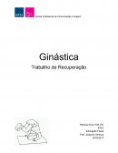 A Ginástica na Educação Física