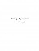 PSICOLOGIA ORGANIZACIONAL - Satisfação no Trabalho e Saúde Organizacional