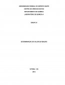 DETERMINAÇÃO DO CALOR DE REAÇÃO - relatorio quimica 1