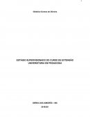 ANÁLISE E APLICABILIDADE DO TRABALHO DO GESTOR SEGUNDO O ENFOQUE DAS NOVAS DIRETRIZES CURRICULARES NACIONAIS N°1/2006