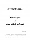 Globalização e Diversidade Cultural