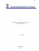 Gestão por competência do conhecimento