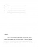 PEDAGOGIA Disciplinas Norteadoras Educação Inclusiva, Didática do Ensino de Ciências, Didática do Ensino de Matemática, Educação em Ambientes Não Escolares.