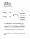 Estudo Dirigido do Caso Amendopar